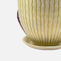 Japanese sake – Image 3